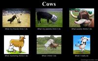 What People Think I Do / What I Really Do