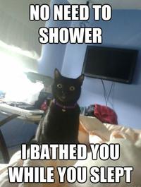 Overly Attached Girlfriend