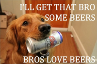Bitches Love X