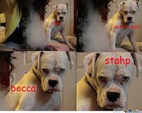 Stahp
