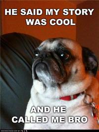 Cool Story, Bro