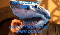 One Does Not Simply Walk into Mordor