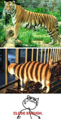 Close Enough