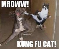 LOLcats