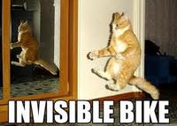 LOLcats