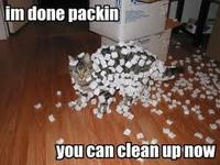 LOLcats