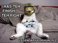 LOLcats