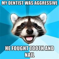 Lame Pun Coon