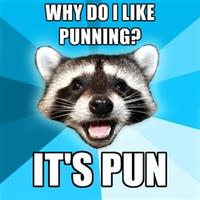 Lame Pun Coon