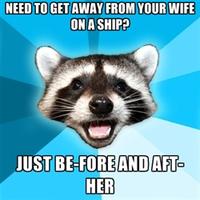Lame Pun Coon