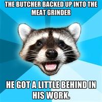 Lame Pun Coon