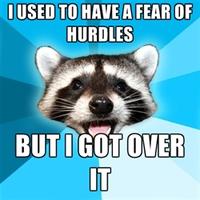 Lame Pun Coon