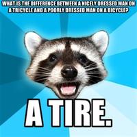 Lame Pun Coon