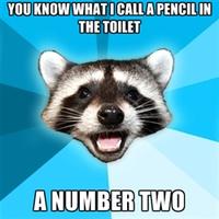 Lame Pun Coon