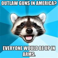 Lame Pun Coon