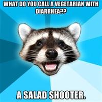 Lame Pun Coon
