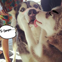 I Hope Senpai Will Notice Me