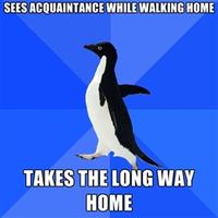 Socially Awkward Penguin