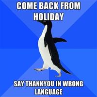 Socially Awkward Penguin