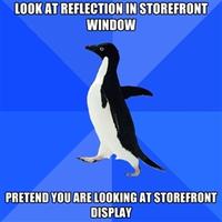 Socially Awkward Penguin