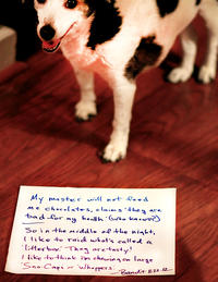 Dogshaming