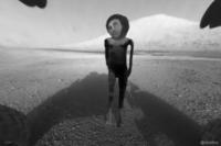 Mars Exploration