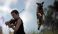 Perfectly Timed Photos