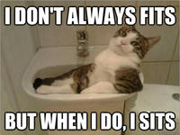 If It Fits I Sits