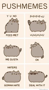 Pusheen