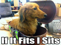 If It Fits I Sits