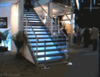 Like A Boss