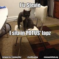 Clint Eastwood's Empty Chair Speech / Eastwooding / Invisible Obama