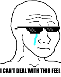 I Know That Feel Bro