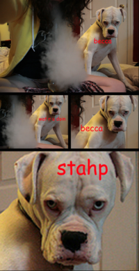 Stahp