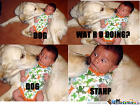 Stahp