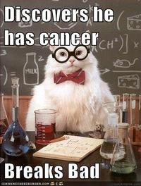 Chemistry Cat