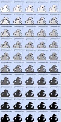 Homophobic Seal
