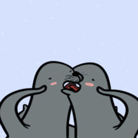 Homophobic Seal