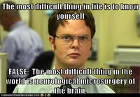 Schrute Facts