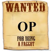 OP is a Faggot
