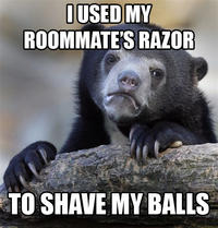 Confession Bear