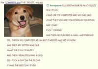 4chan