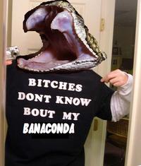 Bitches Don't Know