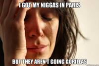 Niggas In Paris