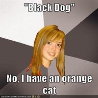 Musically Oblivious 8th Grader