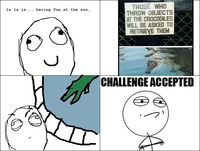 Challenge Accepted