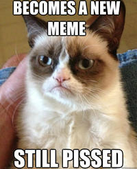 Grumpy Cat