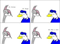 Dolan