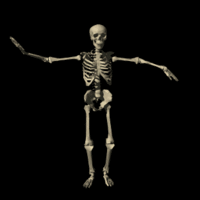 2Spooky