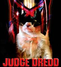 Grumpy Cat